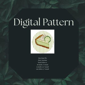 Key Lime Pie Needlepoint or Cross Stitch Chart | Beginner Needlepoint Chart | Digital Chart | Instant Download | Ornament