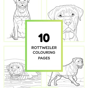 May include: A set of 10 Rottweiler colouring pages. The black and white illustrations show Rottweilers in different poses, such as sitting, swimming, and walking. The text reads "ROTTWEILER COLOURING PAGES" and "INSTANT DOWNLOAD: READY TO PRINT AND COLOUR."
