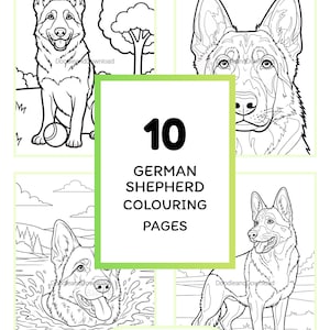May include: A digital download of 10 German Shepherd colouring pages. The black and white illustrations show different poses of the breed, including a dog with a ball, swimming, and standing. The text reads "German Shepherd Colouring Pages".