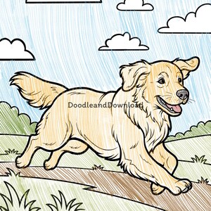 May include: A hand-drawn illustration of a golden retriever dog running across a path. The dog is light brown with a fluffy tail and ears. The background features a blue sky with white clouds and green grass.