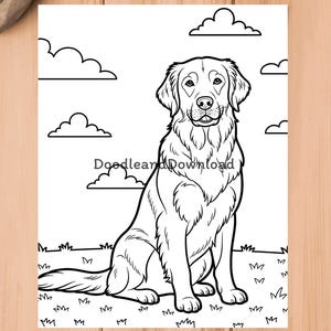 May include: A black and white line drawing of a Golden Retriever dog sitting in grass, with clouds in the background. The image is a colouring page with the text "Doodleand Download".