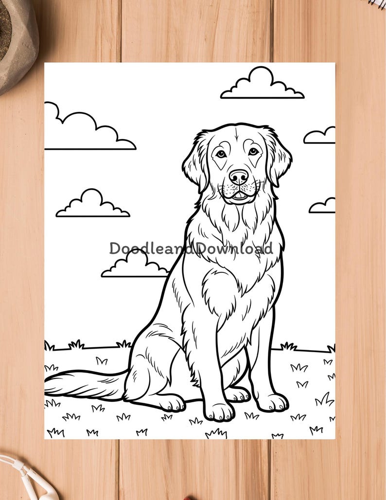 May include: A black and white line drawing of a Golden Retriever dog sitting in grass, with clouds in the background. The image is a colouring page with the text "Doodleand Download".