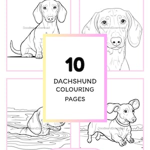 May include: A digital download of 10 dachshund colouring pages. The pages display detailed line art illustrations of dachshunds in different poses, with the text "DACHSHUND COLOURING PAGES" and "INSTANT DOWNLOAD: READY TO PRINT AND COLOUR".