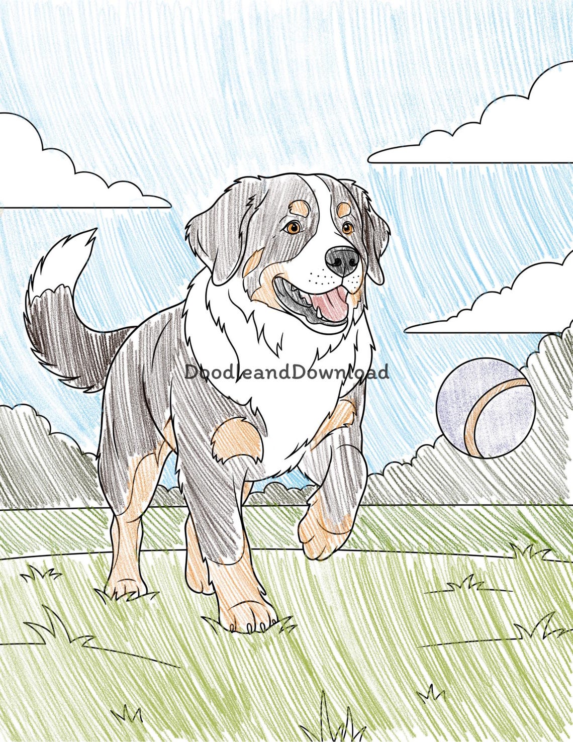 Bernese Mountain Dog Coloring Page Bundle 10 Printable Pages, Instant