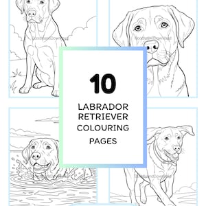 May include: A digital download of a Labrador Retriever colouring book, featuring 10 pages with different dog illustrations. The cover includes the text "10 Labrador Retriever Colouring Pages" and "Instant Download: Ready to Print and Colour".