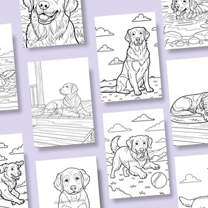 May include: A selection of black and white line art colouring pages depicting Golden Retrievers in different poses. The illustrations show dogs sitting, playing with a ball, and swimming. The text "DoodleandDownbad" is visible on some pages.