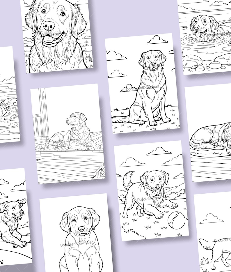 May include: A selection of black and white line art colouring pages depicting Golden Retrievers in different poses. The illustrations show dogs sitting, playing with a ball, and swimming. The text "DoodleandDownbad" is visible on some pages.