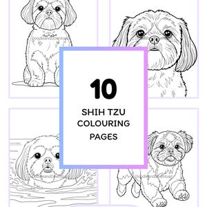 May include: A digital download of a Shih Tzu colouring book. The cover shows four line drawings of the dog, with the text "10 SHIH TZU COLOURING PAGES" and "INSTANT DOWNLOAD: READY TO PRINT AND COLOUR". Each page features a different dog pose.