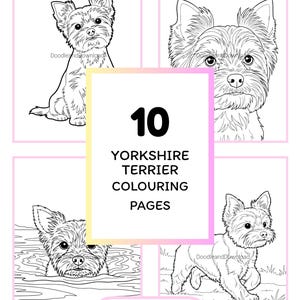 Yorkshire Terrier Dog Coloring Page Bundle - 10 Printable Pages, Instant Digital Download, Adult and Kids Activity, Dog Lover Gift