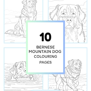 May include: A digital download of ten Bernese Mountain Dog colouring pages. The pages display detailed line art illustrations of the breed in various poses, with the text "10 Bernese Mountain Dog Colouring Pages" and "Instant Download: Ready to Print and Colour".