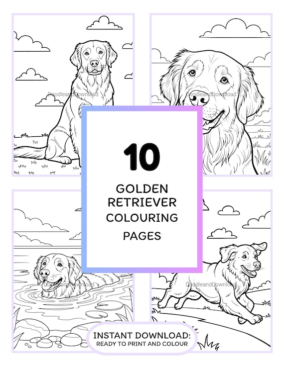 Golden Retriever Dog Coloring Page Bundle - 10 Printable Pages, Instant Digital Download, Adult and Kids Activity, Dog Lover Gift