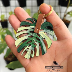 Monstera Albo Deli - Etsy