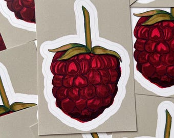 Pegatina de fruta con arte de frambuesa (vinilo mate resistente al agua) / hecha a mano