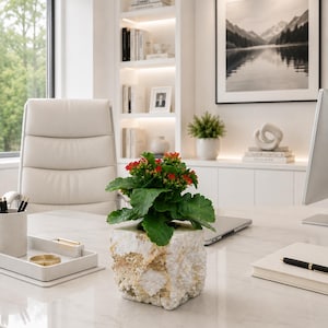 May include: A vibrant red Kalanchoe plant with green, scalloped leaves potted in a square, rough-hewn white stone planter with natural gold-toned veining and a textured, craggy exterior surface that contrasts with the smooth, polished plant leaves.
