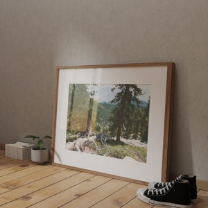 Pines Realistic Nature Fine Art Print image 7