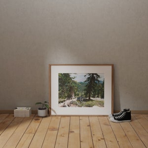 Pines Realistic Nature Fine Art Print image 6