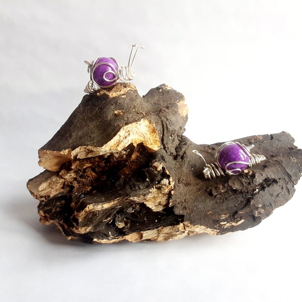 Pair of snails on driftwood, many colours