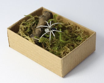 Tiny Spider in a box gift