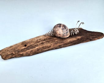 Wall hanging Snails on driftwood