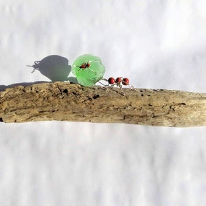 Puede incluir: Una hoja de vidrio verde con detalles rojos se encuentra sobre un trozo de madera flotante con una escultura de alambre de una hormiga con cuentas rojas para el cuerpo.