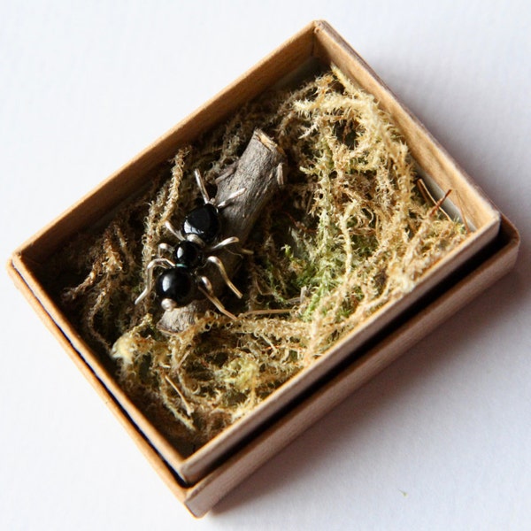 Petite fourmi dans une boîte cadeau