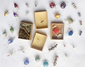 Single Bug in a Box small gift