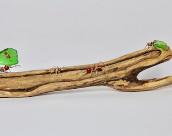 Blattschneiderameisen Skulptur für Kaminsims oder zur Wandaufhängung