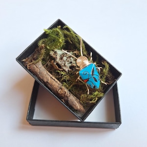 Puede incluir: Un broche de escarabajo azul y negro con detalles de alambre dorado, presentado en una pequeña caja con musgo y un trozo de madera.