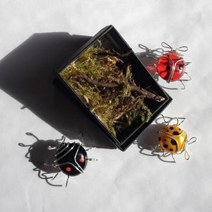 Ladybird in a box gift
