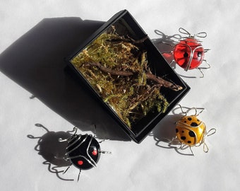 Ladybird in a box gift