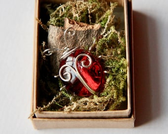 Beetle in a box gift