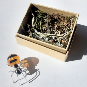 Op de afbeelding: Een kleine, glazen spin met een bruin en zwart lichaam en zilveren draadpoten. De spin zit op een wit oppervlak naast een kleine, bruine kartonnen doos gevuld met gedroogd mos en takjes.