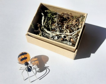Honey Pot Ant in a box gift