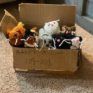 May include: A cardboard box filled with handmade crochet cat toys in various colors, including orange, white, black, and gray. The box has the handwritten text "Adopt a Cat". The cats have white whiskers and pink noses.