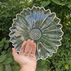 Può includere: Un piatto da portata in vetro trasparente a forma di fiore, con un bordo smerlato. Il centro del piatto ha una base verde con piccole rientranze circolari. Il piatto è tenuto contro uno sfondo di fogliame verde.