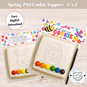 May include: Two square cookies with white icing, one with a bunny design and the other with an Easter egg design. Each cookie has a row of rainbow-colored edible paint dots. The packaging reads "paint your own cookie". The cookies are 5 inches by 3 inches.