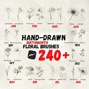 Könnte beinhalten: Handgezeichnete Blumenpinsel für Procreate mit verschiedenen Blumen wie Narzissen, Gänseblümchen und Lilien. Das Bild enthält den Text "BIRTHMONTH FLORAL BRUSHES" und "240+". Jede Blume ist mit ihrem Namen und dem Monat beschriftet.