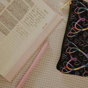 Puede incluir: Un bolígrafo rosa descansa sobre un libro abierto con notas manuscritas. También se ve un estuche negro con un diseño de corazón colorido. Los artículos están sobre una superficie a cuadros.