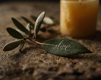 ATHENA Greek olive leaf folk charm , Comfort and Soothing Ritual , Grimoire 6 Languages PDF, Book of Shadows Page