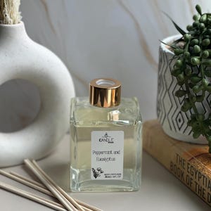 May include: A clear, square glass reed diffuser with a gold cap, labeled "Peppermint and Eucalyptus." The diffuser sits with wooden reeds and is next to a small potted plant and a decorative vase. The diffuser contains 180ml / 6 fl oz.