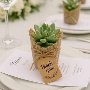 Burlap Wrapped Succulent – Rustic Thank You Favor with Twine