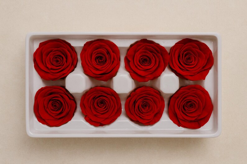 8 Preserved Red Roses Box – Real Eternal Flowers - Etsy