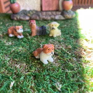 May include: Miniature figurines of dogs in various poses, including a brown and white bulldog, a Yorkshire Terrier, and a yellow puppy, are arranged on a bed of green moss. A small fairy house is in the background, with a pink door and flower pots.