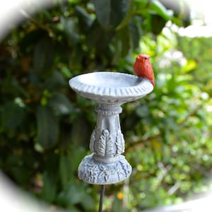 May include: A miniature gray bird bath with a decorative pedestal base, topped with a small, bright red bird. The bird bath is set against a blurred green background of foliage, suggesting an outdoor setting. The bird bath is a charming garden accent.