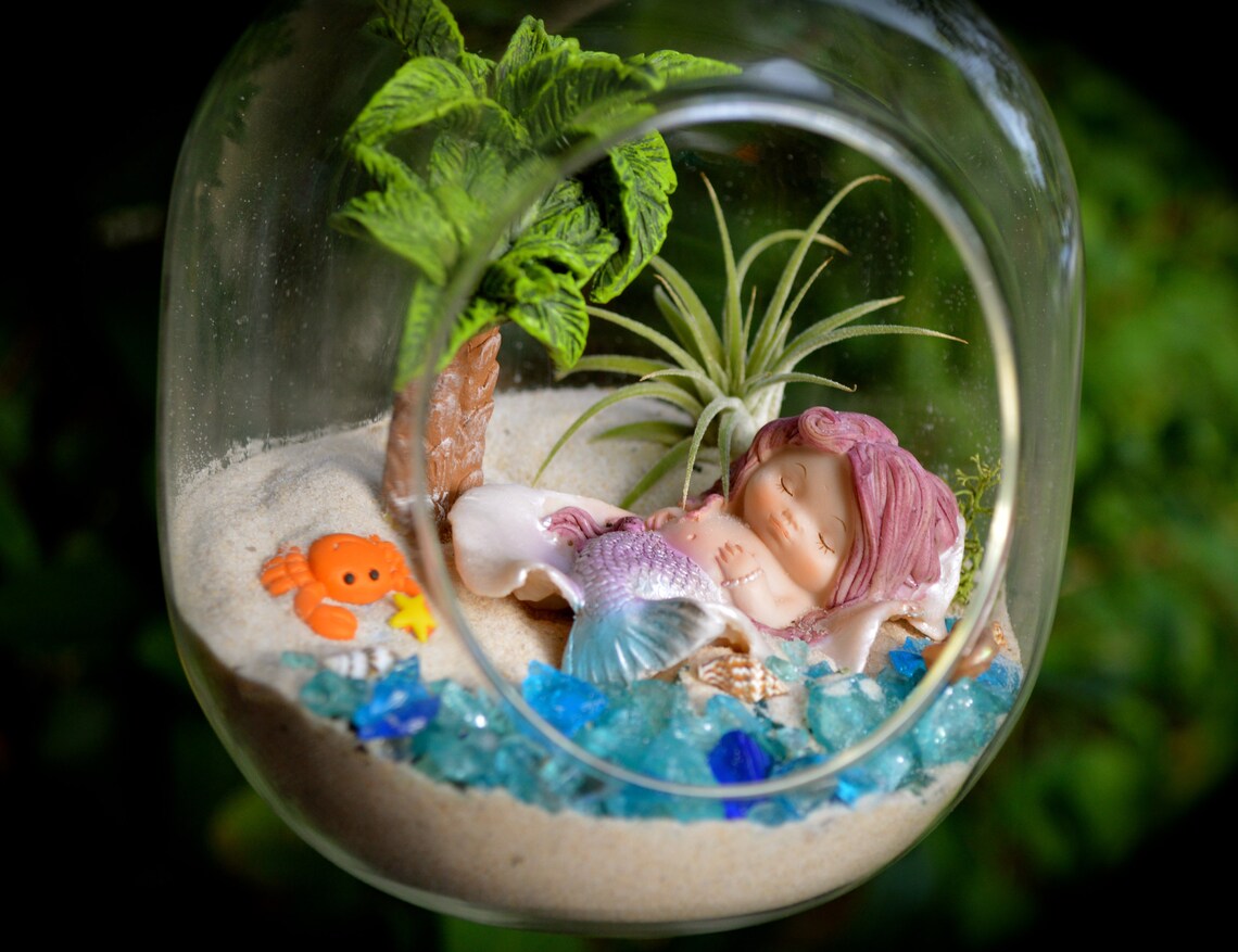 Mermaid Terrarium Kit Small Bullet Air Plant Terrarium Kit Etsy