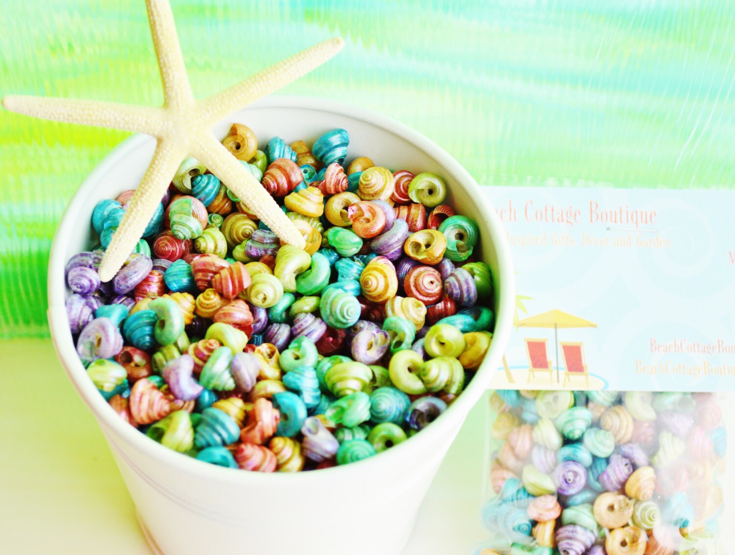 Dyed Pearlized Mini Land Snail Shells 1.5 oz bag 3 x 4 | Etsy