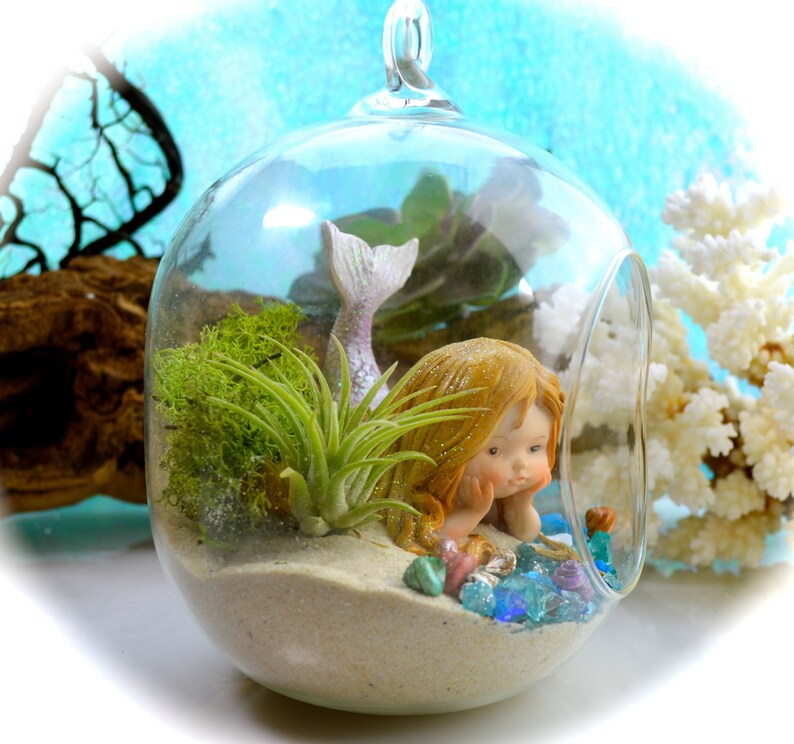 Mermaid Terrarium Kit Small Bullet Air Plant Terrarium Kit Etsy