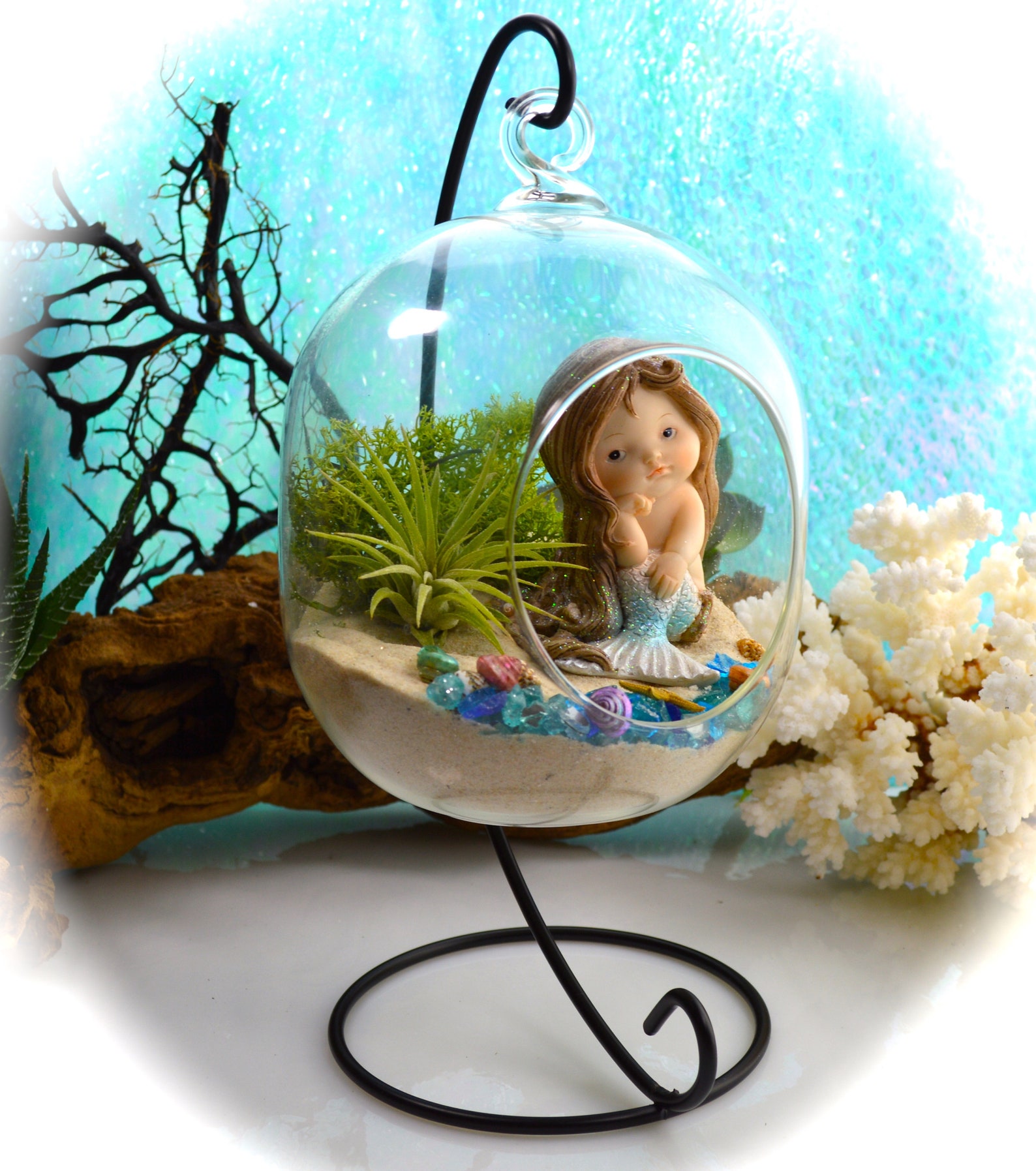 Mermaid Terrarium Kit Small Bullet Air Plant Terrarium Kit Etsy