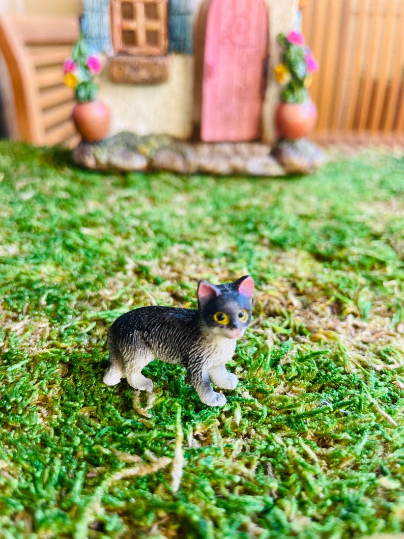 May include: A miniature figurine of a black and white cat with yellow eyes, set against a backdrop of green moss. The cat is positioned in front of a small, detailed fairy house with a pink door and flower pots.