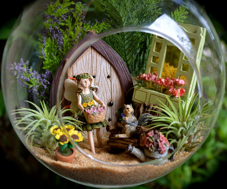 Fairy Garden Terrarium Kit 8 Air Plant Terrarium Etsy